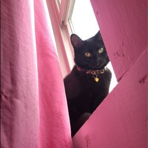 Meet your Posher, Summer